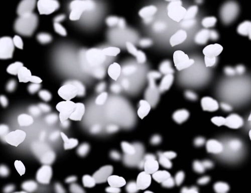 How I Caused My Marriage to Fail — Personal Growth