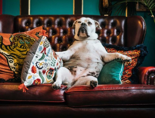 Guide to choosing the right divorce attorney